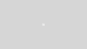 Zuperla Premium WordPress Themes