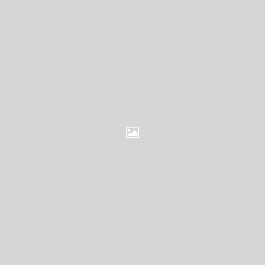 Zuperla Premium WordPress Themes