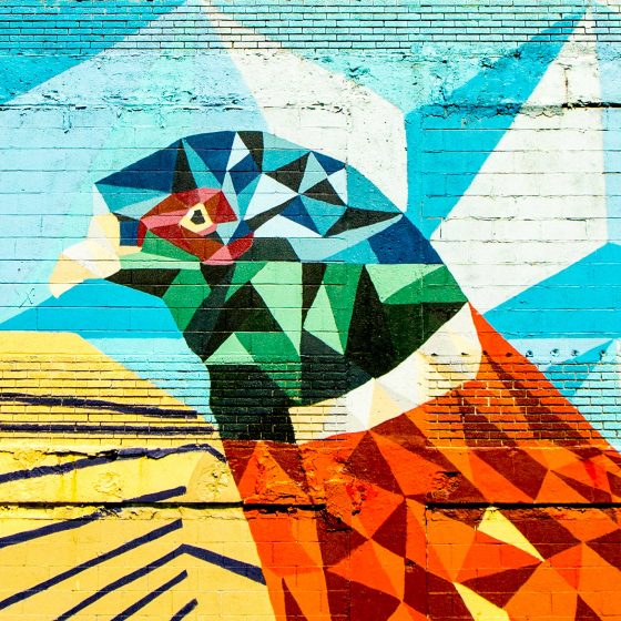 Zuperla Premium WordPress Themes